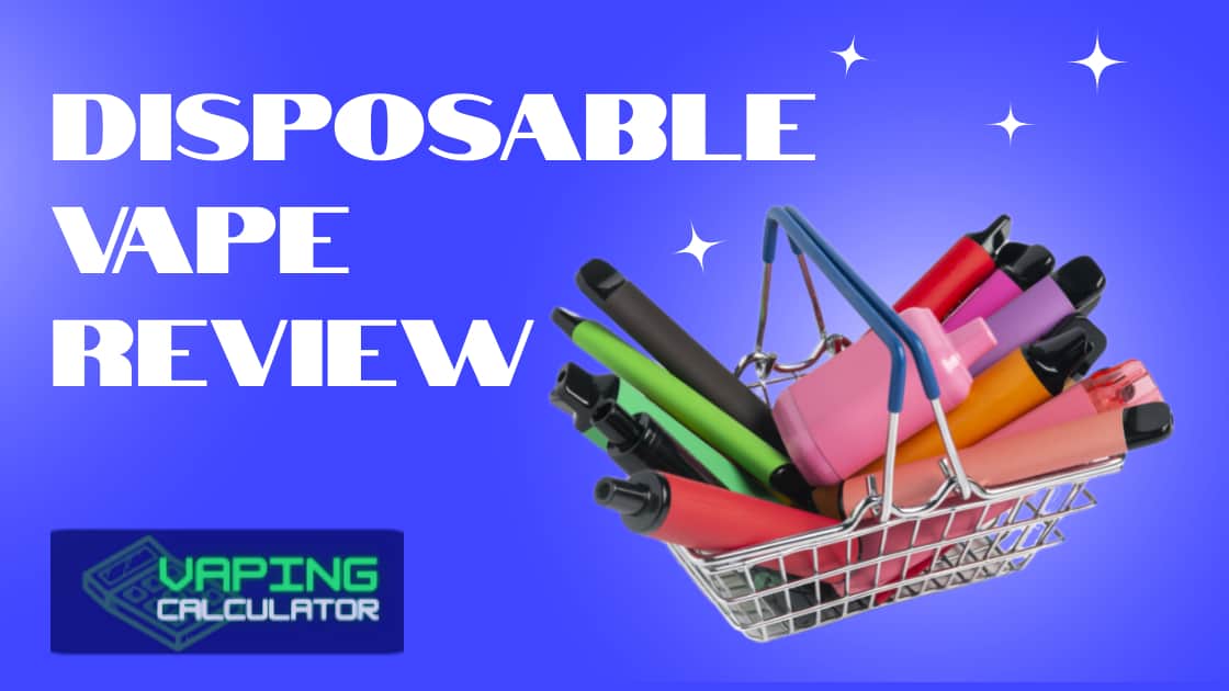 Disposable Vape Review Article Image